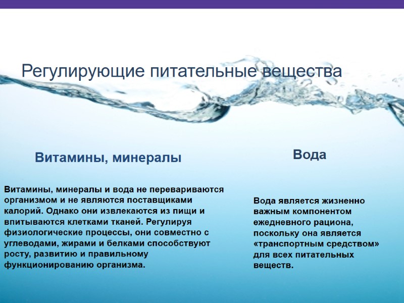 Регулирующие питательные вещества  Витамины, минералы Вода Вода является жизненно важным компонентом ежедневного рациона,